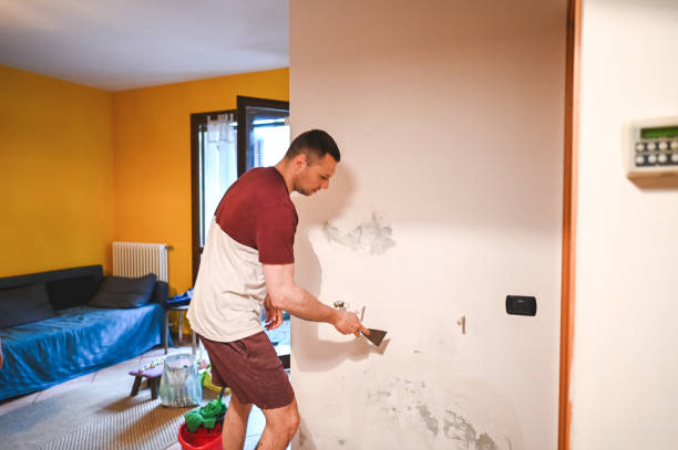 Best Mold Remediation for Specific Building Types in White Mountain Lake, AZ